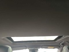 Trumpchi Leopard 2023 270T DCT J15 - ფოტო 18