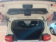Wuling Hongguang MINIEV 2020 Easy Edition LFP Battery - ფოტო 19