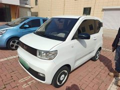Wuling Hongguang MINIEV 2020 Easy Edition LFP Battery - ფოტო 2