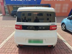Wuling Hongguang MINIEV 2020 Easy Edition LFP Battery - ფოტო 6