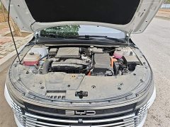 BYD Destroyer 05 Glory Edition DM-i 55KM Luxury - ფოტო 16