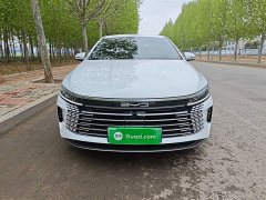 BYD Destroyer 05 Glory Edition DM-i 55KM Luxury - ფოტო 3