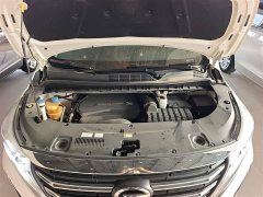 GAC Aion M8 Lingxiu Series 390T Luxury Edition - ფოტო 20