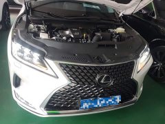 Lexus RX Facelift 300 AWD Elegance - ფოტო 20