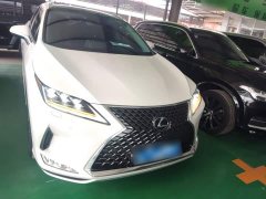 Lexus RX Facelift 300 AWD Elegance - ფოტო 3
