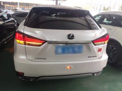 Lexus RX Facelift 300 AWD Elegance - ფოტო 6