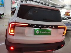Great Wall Dachshund 2022 1.5T DCT Two-Wheel Drive Border Collie Edition - ფოტო 6