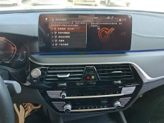 BMW 5 Series 530Li Premier M Sport Package - ფოტო 7