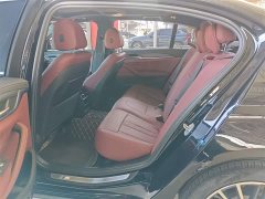 BMW 5 Series 530Li Premier M Sport Package - ფოტო 11