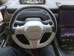 Honda GAC Honda P7 AWD Long Range Max - ფოტო 11