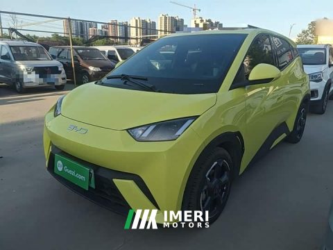 2024 BYD Seagull Glory Edition 305km Freedom Version - автомобиль из Китая