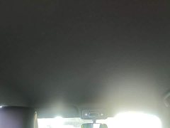 BYD Seagull Glory Edition 305km Freedom Version - ფოტო 18