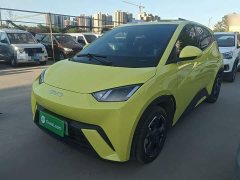 BYD Seagull Glory Edition 305km Freedom Version - ფოტო 2