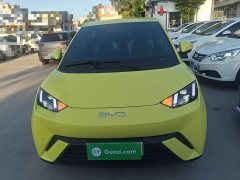 BYD Seagull Glory Edition 305km Freedom Version - ფოტო 3