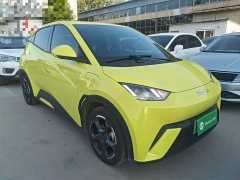 BYD Seagull Glory Edition 305km Freedom Version - ფოტო 4
