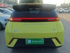 BYD Seagull Glory Edition 305km Freedom Version - ფოტო 6