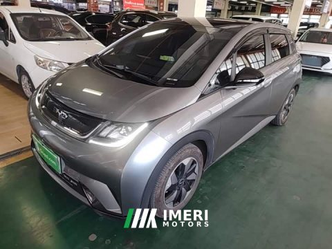 2024 BYD Dolphin Glory Edition 420km Fashion Version - ავტომობილი ჩინეთიდან