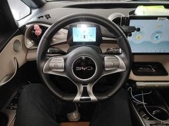 BYD Dolphin Glory Edition 420km Fashion Version - ფოტო 7