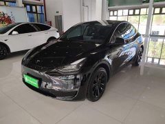 Tesla Model Y 2023 Long Range All-Wheel Drive - ფოტო 2