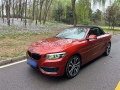 BMW 2 Series (Imported) 2019 225i Convertible Sports Design Package - ფოტო 1
