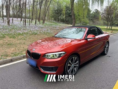 2021 BMW 2 Series (Imported) 2019 225i Convertible Sports Design Package - ავტომობილი ჩინეთიდან
