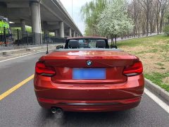 BMW 2 Series (Imported) 2019 225i Convertible Sports Design Package - ფოტო 10