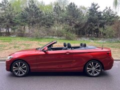 BMW 2 Series (Imported) 2019 225i Convertible Sports Design Package - ფოტო 8