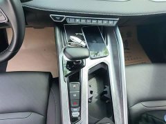 Geely Xingrui 2021 2.0T Diesel Luxury - ფოტო 14