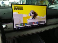 Geely Galaxy Xingyao 8 130km EM-i Premium Edition - ფოტო 13
