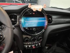 BMW MINI 2.0T COOPER S Artist - ფოტო 9