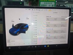 Tesla Model Y Long Range All-Wheel Drive - ფოტო 12