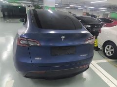 Tesla Model Y Long Range All-Wheel Drive - ფოტო 6