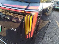 GAC Aion E9 MAX - ფოტო 8