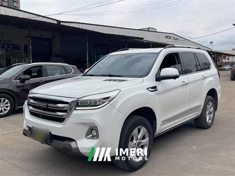 2021 Haval H9 2020 2.0T Gasoline 4WD Premium 5-Seater - ავტომობილი ჩინეთიდან