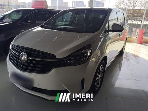 2022 Buick GL8 2021 Land Executive Cabin 652T Smart Luxury - ავტომობილი ჩინეთიდან