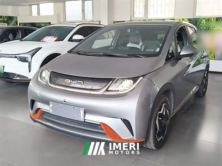 BYD Dolphin 405km Freedom Edition - ავტომობილი ჩინეთიდან