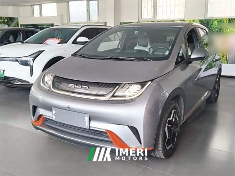 2022 BYD Dolphin 405km Freedom Edition