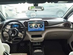 BYD Dolphin 405km Freedom Edition - ფოტო 10