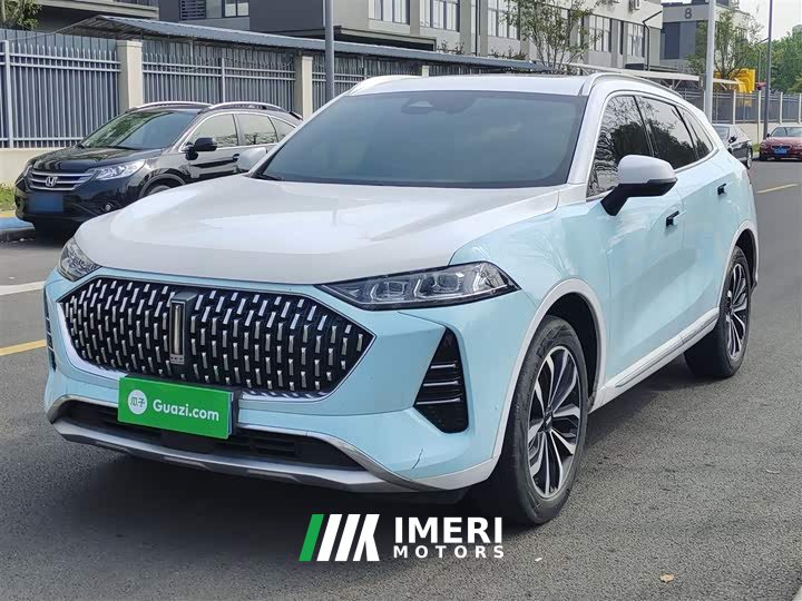 Great Wall Wei Brand Mocha 2.0T Two-Wheel Drive Rich Edition