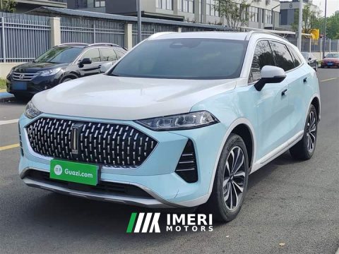 2022 Great Wall Wei Brand Mocha 2021 2.0T Two-Wheel Drive Rich Edition - ავტომობილი ჩინეთიდან