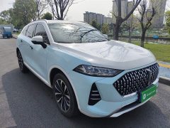 Great Wall Wei Brand Mocha 2021 2.0T Two-Wheel Drive Rich Edition - ფოტო 4