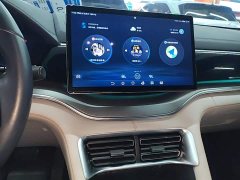 BYD Song Plus New Energy DM-i 110km Flagship Honors Edition - ფოტო 13