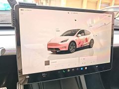 Tesla Model Y Rear-Wheel Drive - ფოტო 13