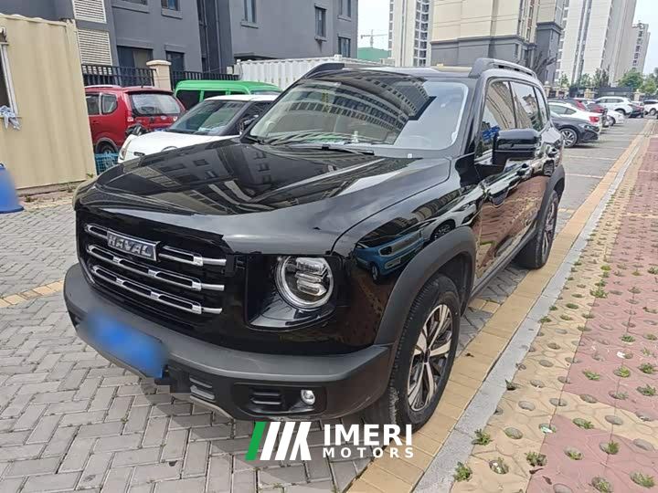 Great Wall Dachshund 1.5T DCT Two-Wheel Drive Labrador Edition