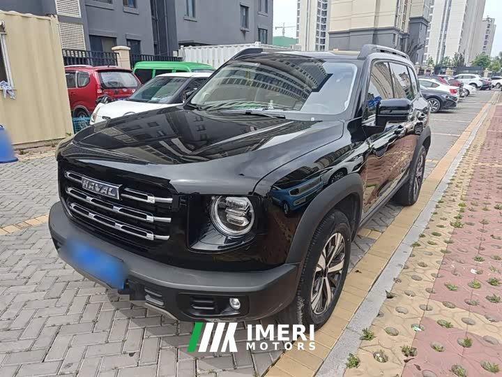 Great Wall Dachshund 1.5T DCT Two-Wheel Drive Labrador Edition