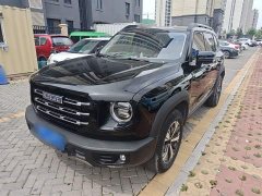 Great Wall Dachshund 2022 1.5T DCT Two-Wheel Drive Labrador Edition - ფოტო 2