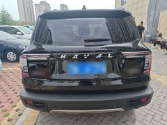 Great Wall Dachshund 2022 1.5T DCT Two-Wheel Drive Labrador Edition - ფოტო 6