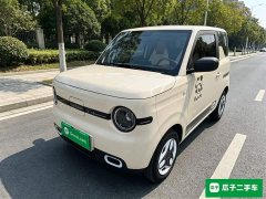 Geely Panda Mini 210km Vitality Edition - ფოტო 1