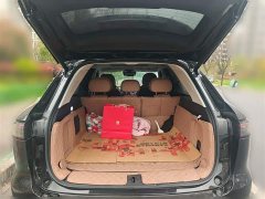 Chery Tiggo 8L 2.0T FWD Luxury 5-Seater - ფოტო 10