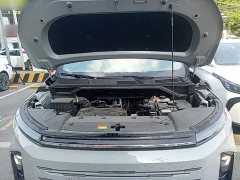 Maxus G50 Plug-in Hybrid Flagship Edition - ფოტო 20